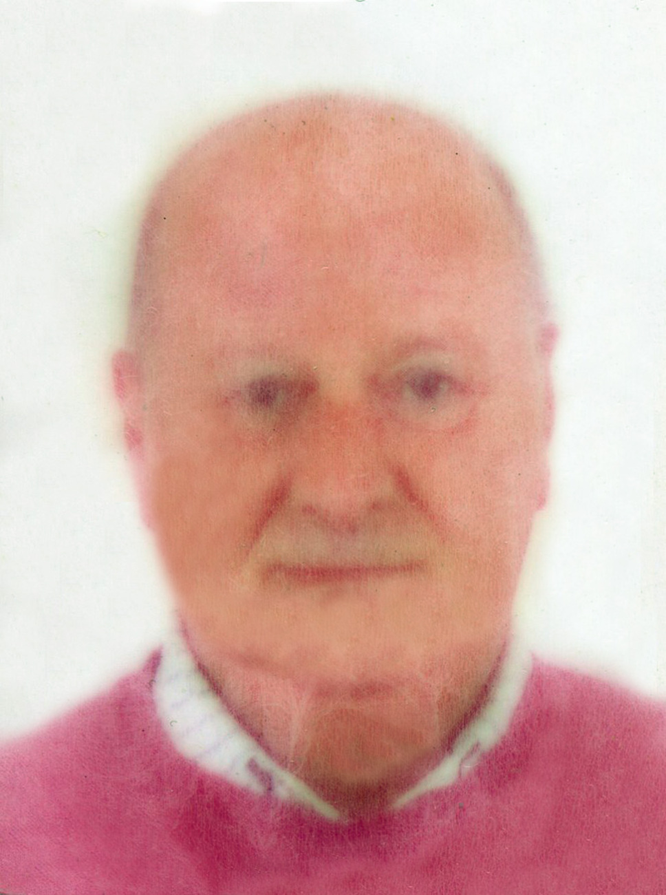 Campi Luis
